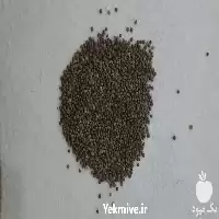 قیمت خرید عدس سیاه محلی در کردستان در گروه خرید و فروش غلات و حبوبات در یکمیوه