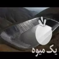 خرید اجرای ورق های ژئوممبران ژئوتکستایل در گروه خرید و فروش ژئوممبران و ژئوتکستایل در یکمیوه