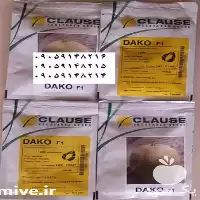 قیمت خرید بذر ملون در هرمز در گروه خرید و فروش بذر ملون در یکمیوه