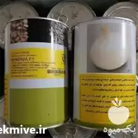 فروش بذر پیاز مینروا در گروه خرید و فروش بذر پیاز در یکمیوه