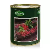 خرید عرضه بذر تربچه نقلی تینتو در همدان در گروه خرید و فروش انواع بذر در یکمیوه