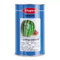 خرید بذر هندوانه کریمسون سوئیت نیاگارا در تهران در گروه خرید و فروش بذر هندوانه در یکمیوه