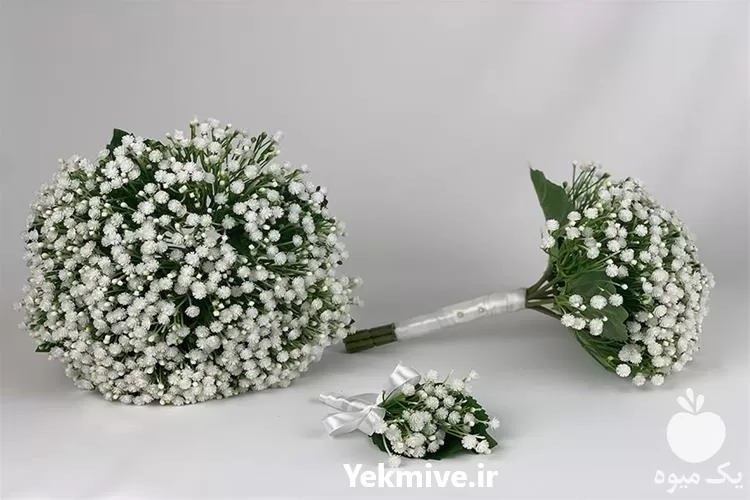 دوره آموزشی پرورش گل نفس کودک در گروه دوره آموزش کشاورزی در یکمیوه -عکس1