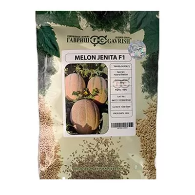 بذر ملون جنیتا گاوریش با ارزان در یزد در گروه خرید و فروش بذر ملون در یکمیوه -عکس1