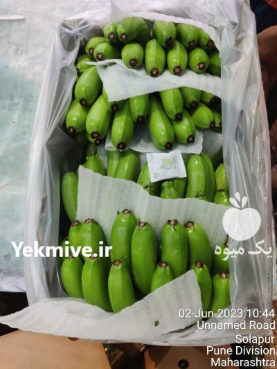 واردات موز از هند در فسا در گروه خرید و فروش موز در یکمیوه -عکس1