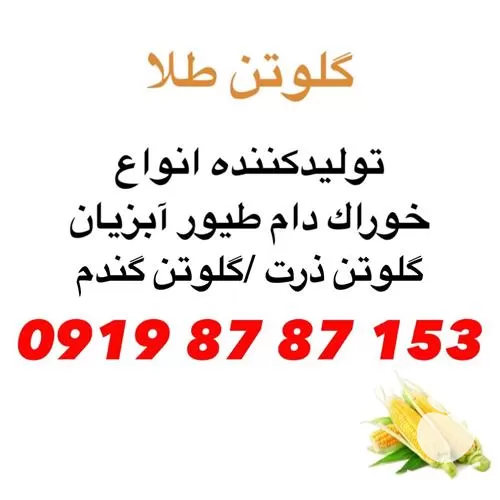 قیمت خرید گلوتن ذرت در تهران در گروه خوراک دام و طیور در یکمیوه -عکس1