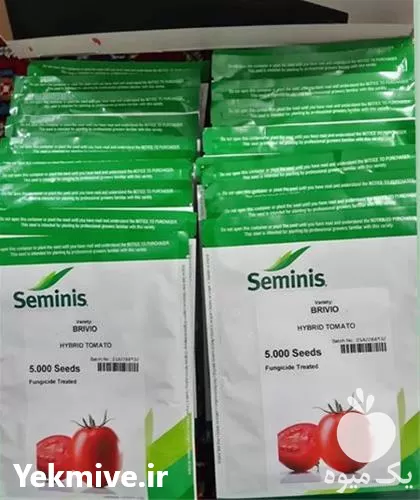 قیمت خرید بذر گوجه فرنگی مارول در گروه خرید و فروش بذر گوجه در یکمیوه -عکس1