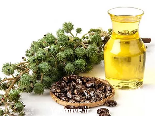 خرید روغن گیاهی کرچک درجه یک در تهران در گروه خرید و فروش انواع روغن در یکمیوه -عکس1