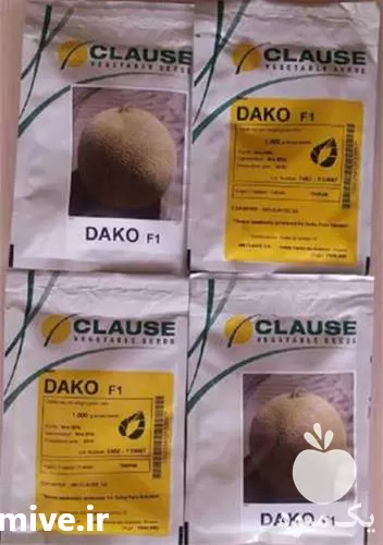 فروش بذر ملون هیبریدی زودرس داکو در بیرجند در گروه خرید و فروش بذر ملون در یکمیوه -عکس1