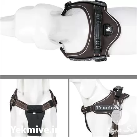 فروش قلاده کتفی و گردنی حیوانات در اصفهان در گروه سگ و گربه در یکمیوه -عکس1