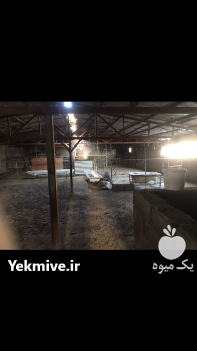 از شما کار تجربه از ما در نظرآباد در گروه تجهیزات مرغداری در یکمیوه -عکس2