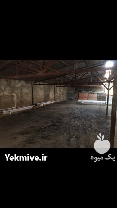 از شما کار تجربه از ما در نظرآباد در گروه تجهیزات مرغداری در یکمیوه -عکس1