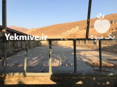 از شما کار تجربه از ما در نظرآباد در گروه تجهیزات مرغداری در یکمیوه -عکس3