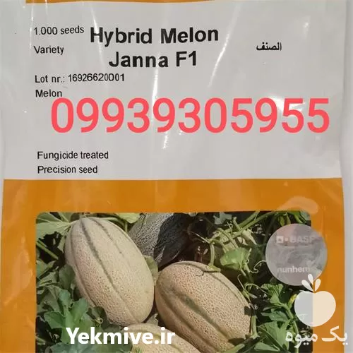 قیمت خرید بذر خربزه جانا f 1 در مشهد در گروه خرید و فروش بذر خربزه در یکمیوه -عکس1