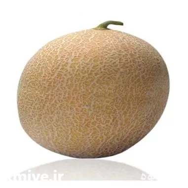 انواع بذر ملون و خربزه 2023 در تهران در گروه خرید و فروش بذر ملون در یکمیوه -عکس1