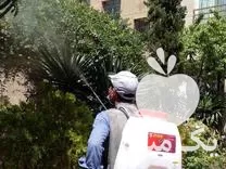 سمپاشی باغبانی با مهر فاکتور ضمانت در تهران در گروه خدمات باغبانی در یکمیوه -عکس1