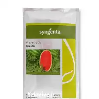 بذر فروش در تهران در گروه خرید و فروش انواع بذر در یکمیوه