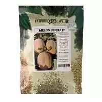 بذر ملون جنیتا گاوریش با ارزان در یزد در گروه خرید و فروش بذر ملون در یکمیوه