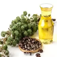 خرید روغن گیاهی کرچک درجه یک در تهران در گروه خرید و فروش انواع روغن در یکمیوه
