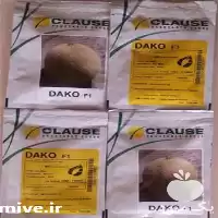 فروش بذر ملون هیبریدی زودرس داکو در بیرجند در گروه خرید و فروش بذر ملون در یکمیوه