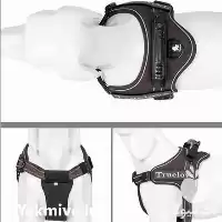 فروش قلاده کتفی و گردنی حیوانات در اصفهان در گروه سگ و گربه در یکمیوه