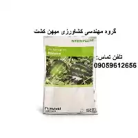 بذر هندوانه کاریستان در ایلام در گروه خرید و فروش بذر هندوانه در یکمیوه