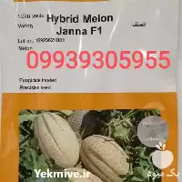 قیمت خرید بذر خربزه جانا f 1 در مشهد در گروه خرید و فروش بذر خربزه در یکمیوه