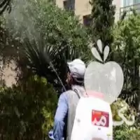 سمپاشی باغبانی با مهر فاکتور ضمانت در تهران در گروه خدمات باغبانی در یکمیوه