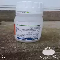 فروش سم کانسیل اکتیو دارای گرانول در رشت در گروه خرید و فروش انواع سم در یکمیوه