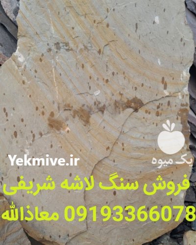 فروش انواع سنگ لاشه مستقیم در گروه سازنده در یکمیوه -عکس1