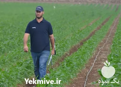 طراحی و اجرای آبیاری قطره ای در گروه خرید و فروش دستگاه آبیاری در یکمیوه -عکس1