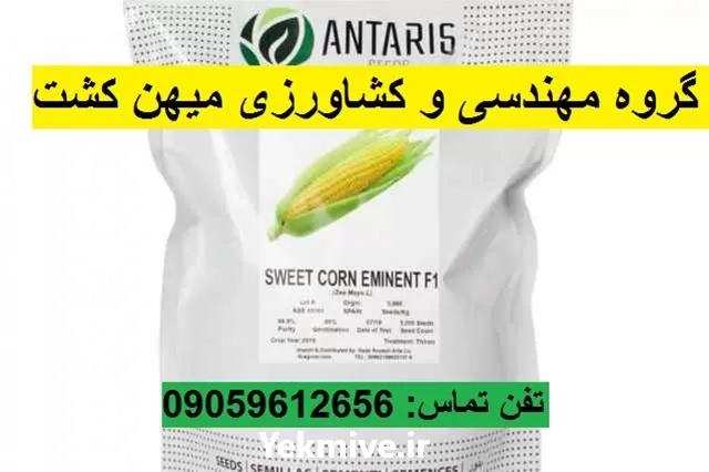 انواع بذر ذرت شیرین برند امیننت در همدان در گروه خرید و فروش بذر ذرت در یکمیوه -عکس1