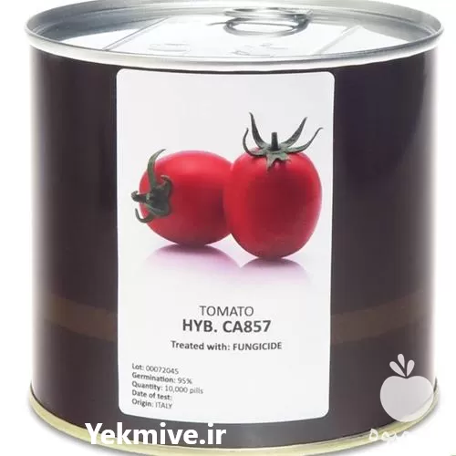 فروش بذر گوجه کانیون کا 857 در تهران در گروه خرید و فروش بذر گوجه در یکمیوه -عکس1