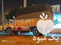 فروش کاه نیشکر جای گزین کاه در جیرفت در گروه خوراک دام و طیور در یکمیوه -عکس1