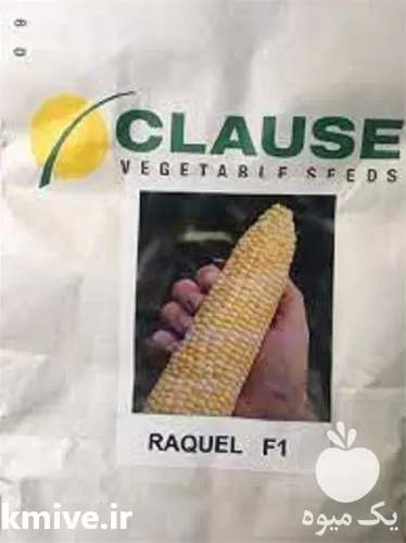 قیمت خرید بذر ذرت مستر داوینچی در رشت در گروه خرید و فروش بذر ذرت در یکمیوه -عکس1