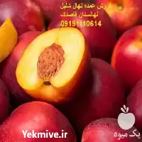 قیمت خرید عمده نهال شلیل انجیری در تبریز در گروه خرید و فروش نهال میوه در یکمیوه