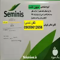 خرید بذر ذرت بسین آر سمینیس در اردبیل در گروه خرید و فروش بذر ذرت در یکمیوه