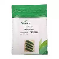 فروش بذر خیار Emparator سیمینس در بیرجند در گروه خرید و فروش بذر خیار در یکمیوه