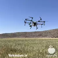 سمپاشی مزارع کشاورزی با پهپاد در شیراز در گروه خدمات باغبانی در یکمیوه