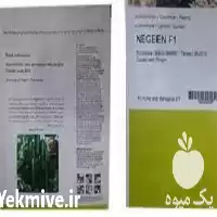 قیمت خرید بذر خیار نگین در یزد در گروه خرید و فروش بذر خیار در یکمیوه
