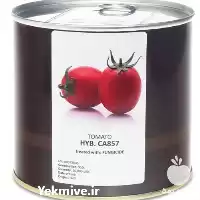 فروش بذر گوجه کانیون کا 857 در تهران در گروه خرید و فروش بذر گوجه در یکمیوه