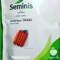 بذر هویج نانتس کارورا محصول شرکت در گروه خرید و فروش بذر هویج در یکمیوه