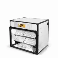 فروش دستگاه جوجه کشی 168 تایی در ارومیه در گروه تجهیزات مرغداری در یکمیوه