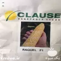 قیمت خرید بذر ذرت مستر داوینچی در رشت در گروه خرید و فروش بذر ذرت در یکمیوه