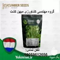 خرید بذر خیار گلخانه ای تینا در گروه خرید و فروش بذر خیار در یکمیوه