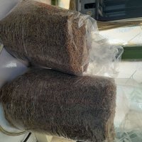 فروش میلورم خشک در دوگنبدان در گروه خوراک شیلات و آبزیان در یکمیوه