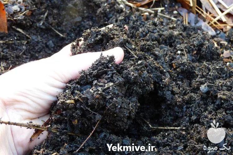 خاک ترکیبی برای روف گاردن در تهران در گروه انواع محصولات خاک و تغذیه در یکمیوه -عکس1