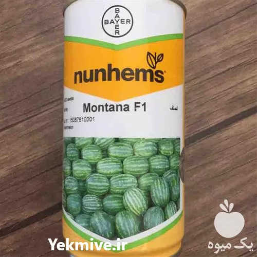 عرضه و فروش بذر هندوانه مونتانا در بیرجند در گروه خرید و فروش بذر هندوانه در یکمیوه -عکس1