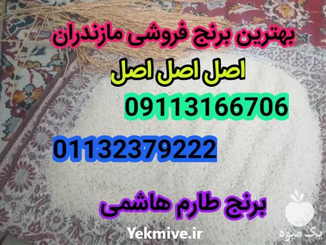 خرید برنج طارم هاشمی میلاد بابلی در ساری در گروه خرید و فروش برنج در یکمیوه -عکس1