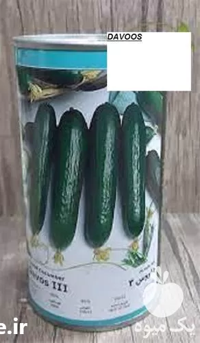 فروش بذر خیار داووس در تبریز در گروه خرید و فروش بذر خیار در یکمیوه -عکس1